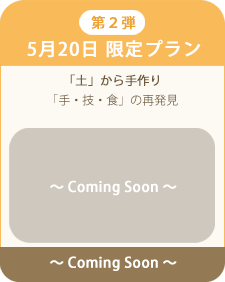 5月20日 限定プラン